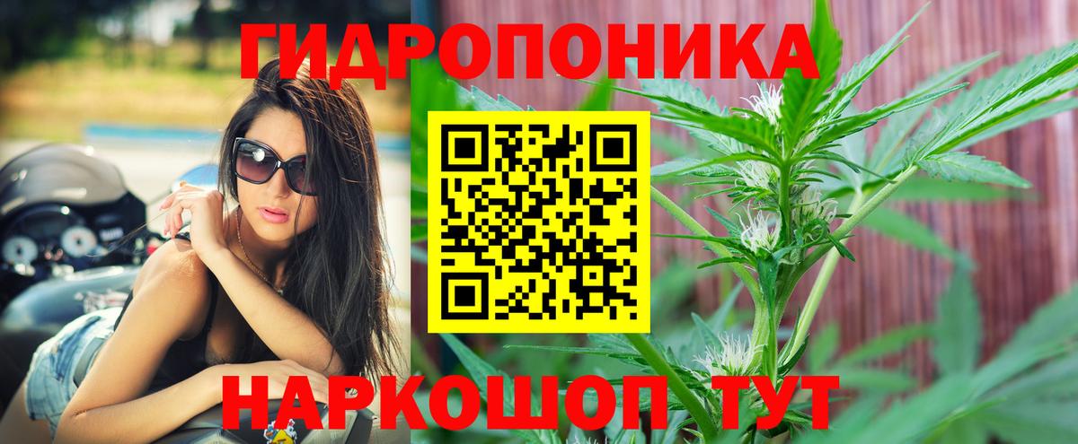 Бошки марихуана индика  Конопля конопля  Каннабис гибрид  Вход с VPN  Семилуки 